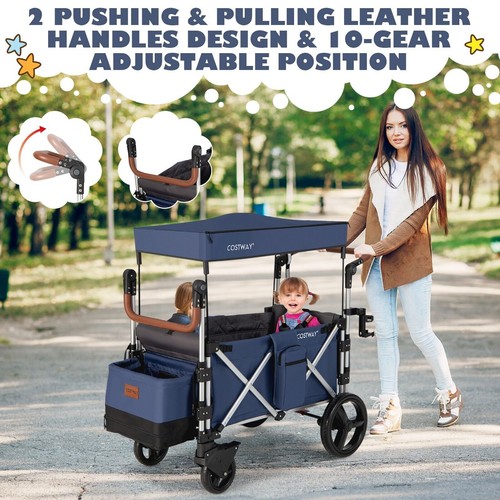 Passenger push pull stroller - passenger,