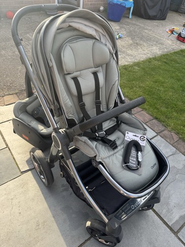 Baby style oyster - style, luxury